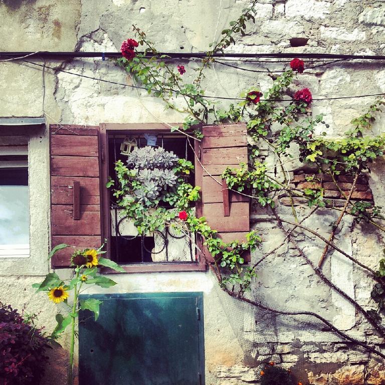 Villa Segalla Rovinj Exterior foto